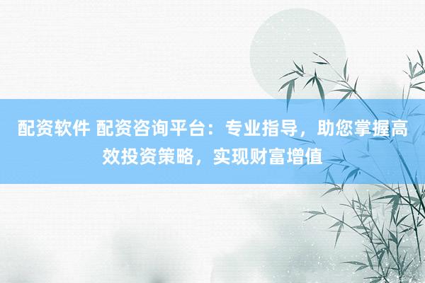 配资软件 配资咨询平台：专业指导，助您掌握高效投资策略，实现财富增值
