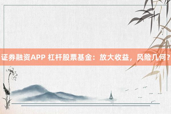 证券融资APP 杠杆股票基金：放大收益，风险几何？