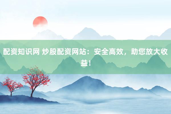 配资知识网 炒股配资网站：安全高效，助您放大收益！