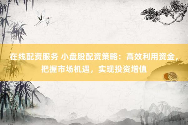 在线配资服务 小盘股配资策略：高效利用资金，把握市场机遇，实现投资增值