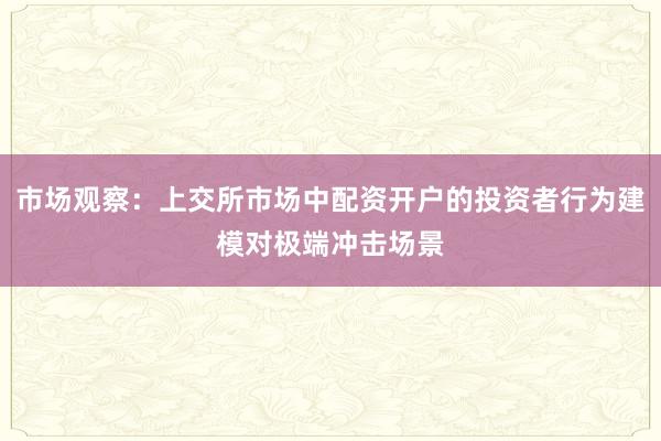 市场观察：上交所市场中配资开户的投资者行为建模对极端冲击场景