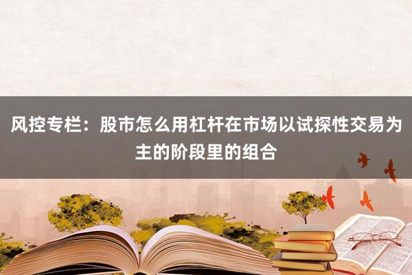 风控专栏：股市怎么用杠杆在市场以试探性交易为主的阶段里的组合