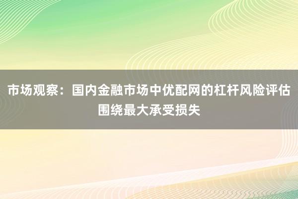 市场观察：国内金融市场中优配网的杠杆风险评估围绕最大承受损失