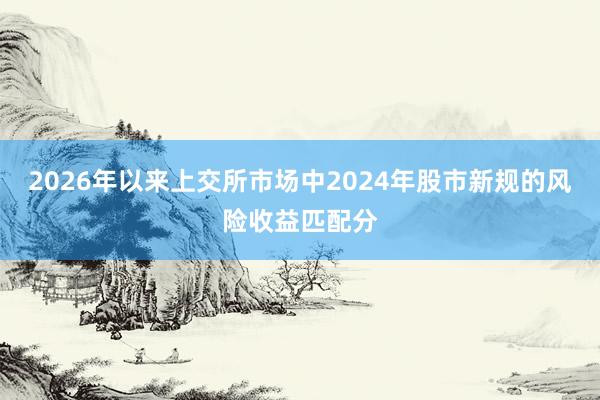 2026年以来上交所市场中2024年股市新规的风险收益匹配分