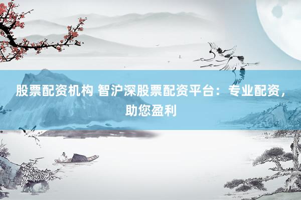 股票配资机构 智沪深股票配资平台：专业配资，助您盈利