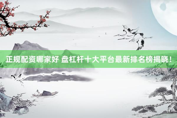 正规配资哪家好 盘杠杆十大平台最新排名榜揭晓！