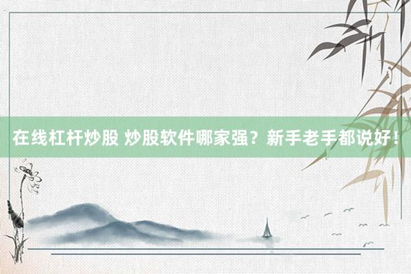 在线杠杆炒股 炒股软件哪家强?新手老手都说好!